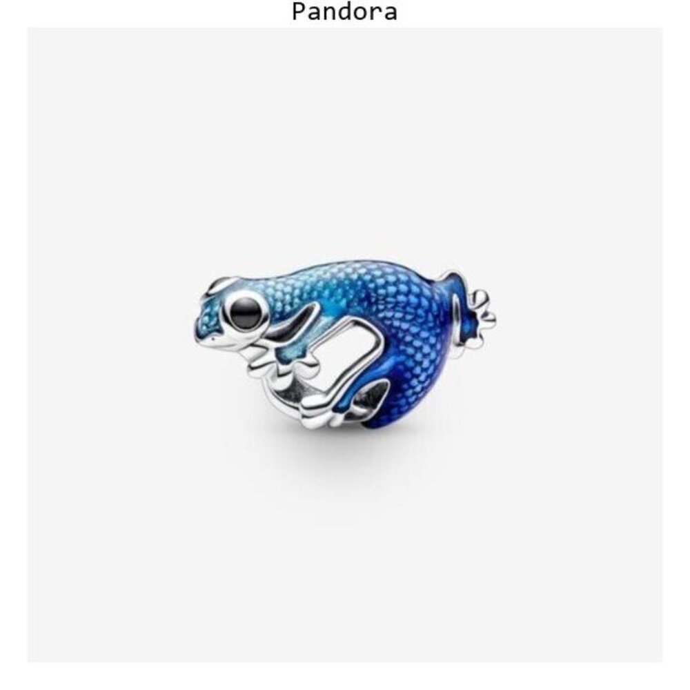 Pandora charms